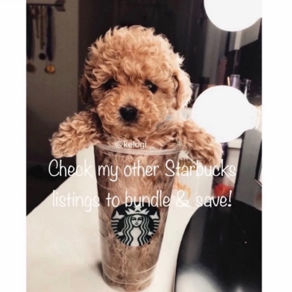 🌸LAST ONE🌸 Starbucks Iridescent Pink Pine Cup - Picture 9 of 9